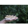 Palo Santo sväté drevo 1