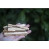 Palo Santo sväté drevo Magické LONO