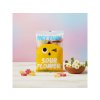 HEY YUM – Gumové cukríky kyslé kvetinky, BIO 100 g