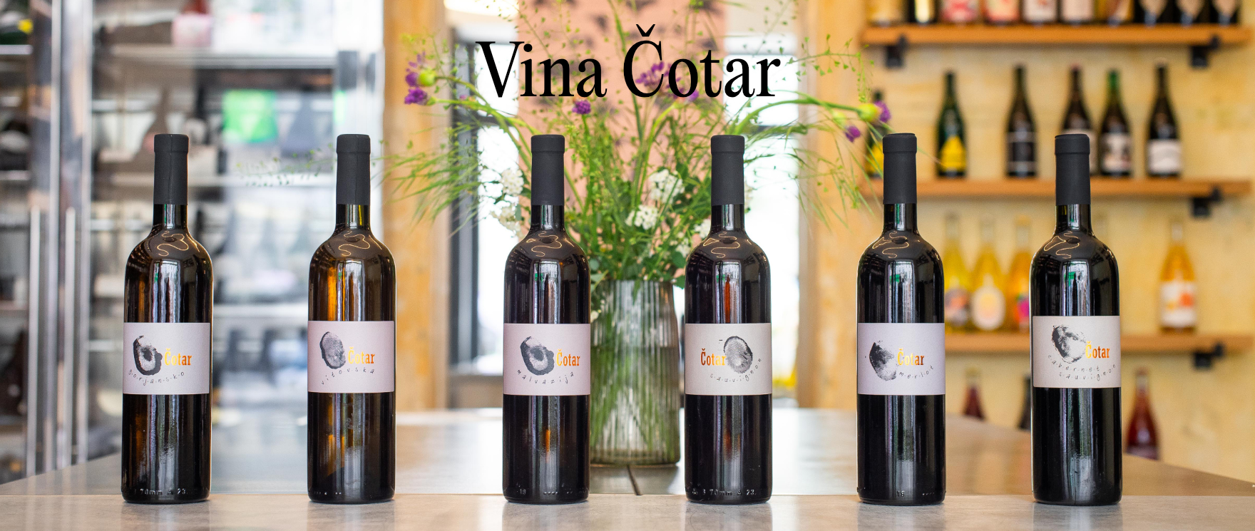 Vina Čotar