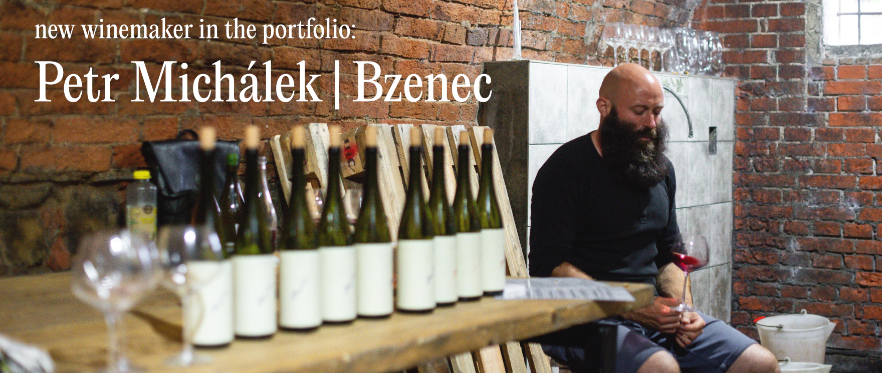 Petr Michálek