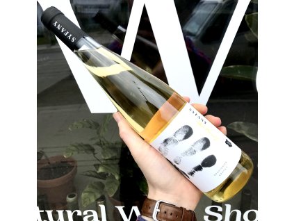Syfany - Sauvignon 2017 Krátký