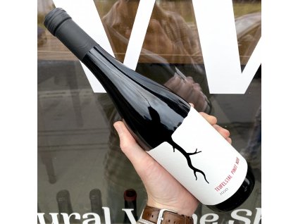 Magula - TEUFELSTAL Pinot Noir 2020