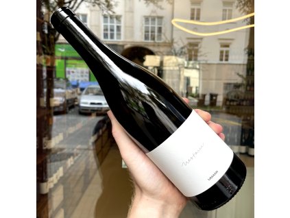 Milan Nestarec - UMAMI 2021