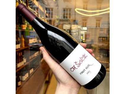 Ota Ševčík - Pinot Noir 2023