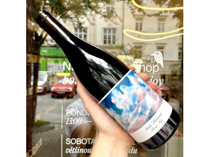 B.D Schmitt - Nieder-Flörsheimer Pinot Noir 2023