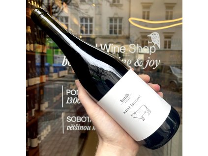 Petr Koráb - Saint Laurent 2024