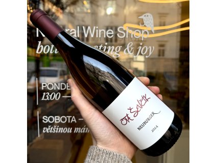 Ota Ševčík - Neuburger 2024