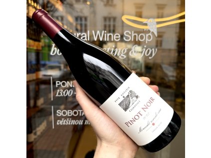 Petr Kočařík - Pinot Noir 2023