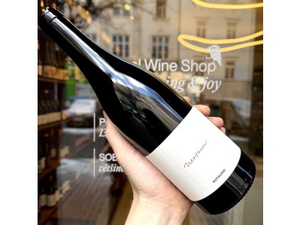 Milan Nestarec - KITSUNE 2022