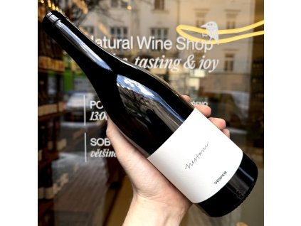 Milan Nestarec - VESPER 2022