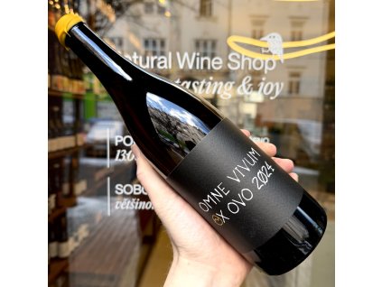 Martin Vajčner - Omne Vivum Ox Ovo 2024