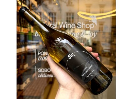 François Rousset - Martin - Savagnin 2021