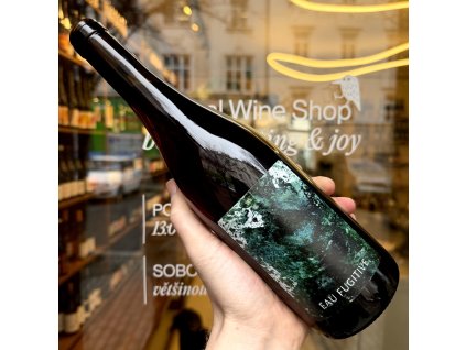 L'Oiseau Rôdeur - Eau Fugitive 2024