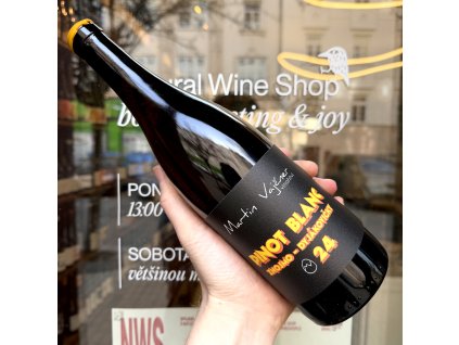 Martin Vajčner - Pinot Blanc 2024