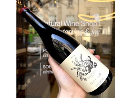Podkovné - Pinot Noir 2024