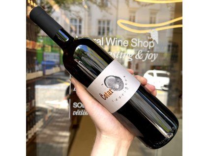 Čotar - Sauvignon 2021