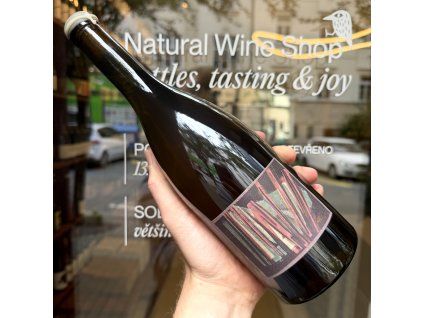 Bencze - Furmint 2023