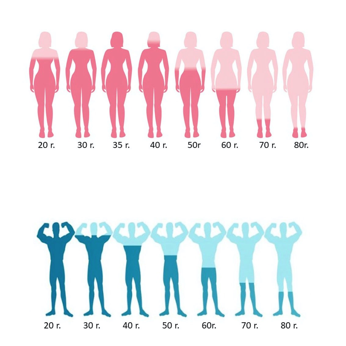 A hormonháztartás változásai a középkorú férfiak és nők esetében