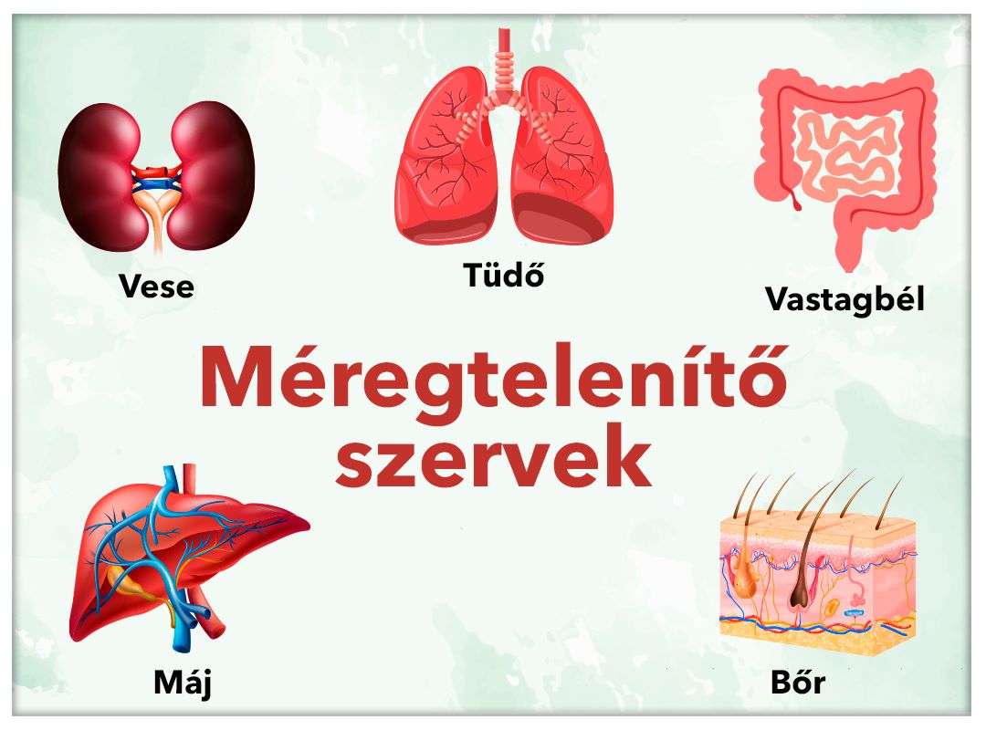 meregtelenito-szervek