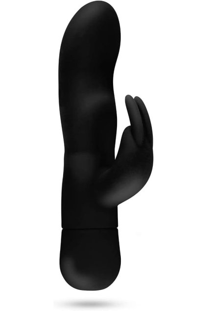 41pE4LFTUlL. AC SL1200