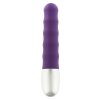 Mini Karbovany vibrator Discretion Ribbed Purple