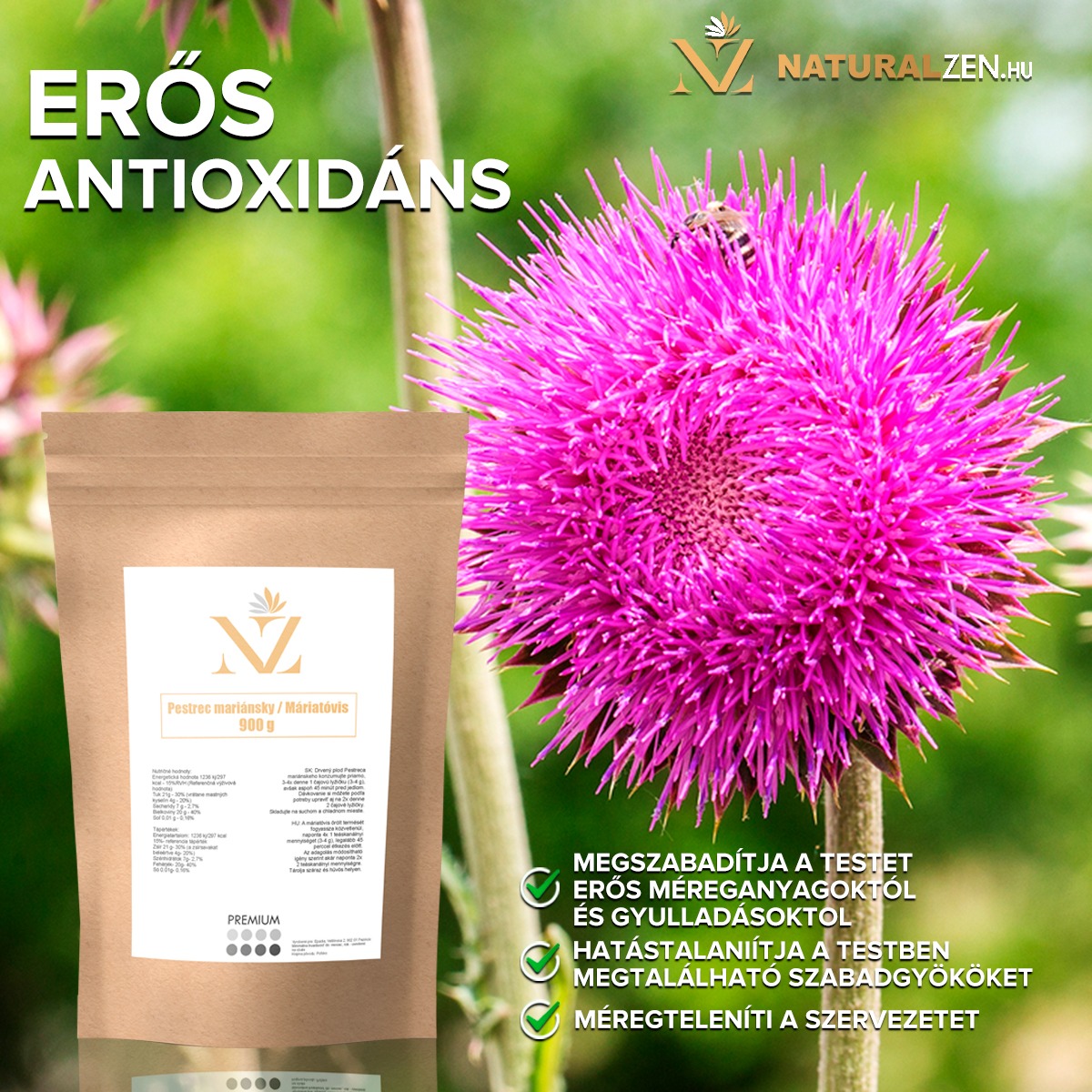 Mleczny oset i jego potencjał terapeutyczny w chorobach wątroby