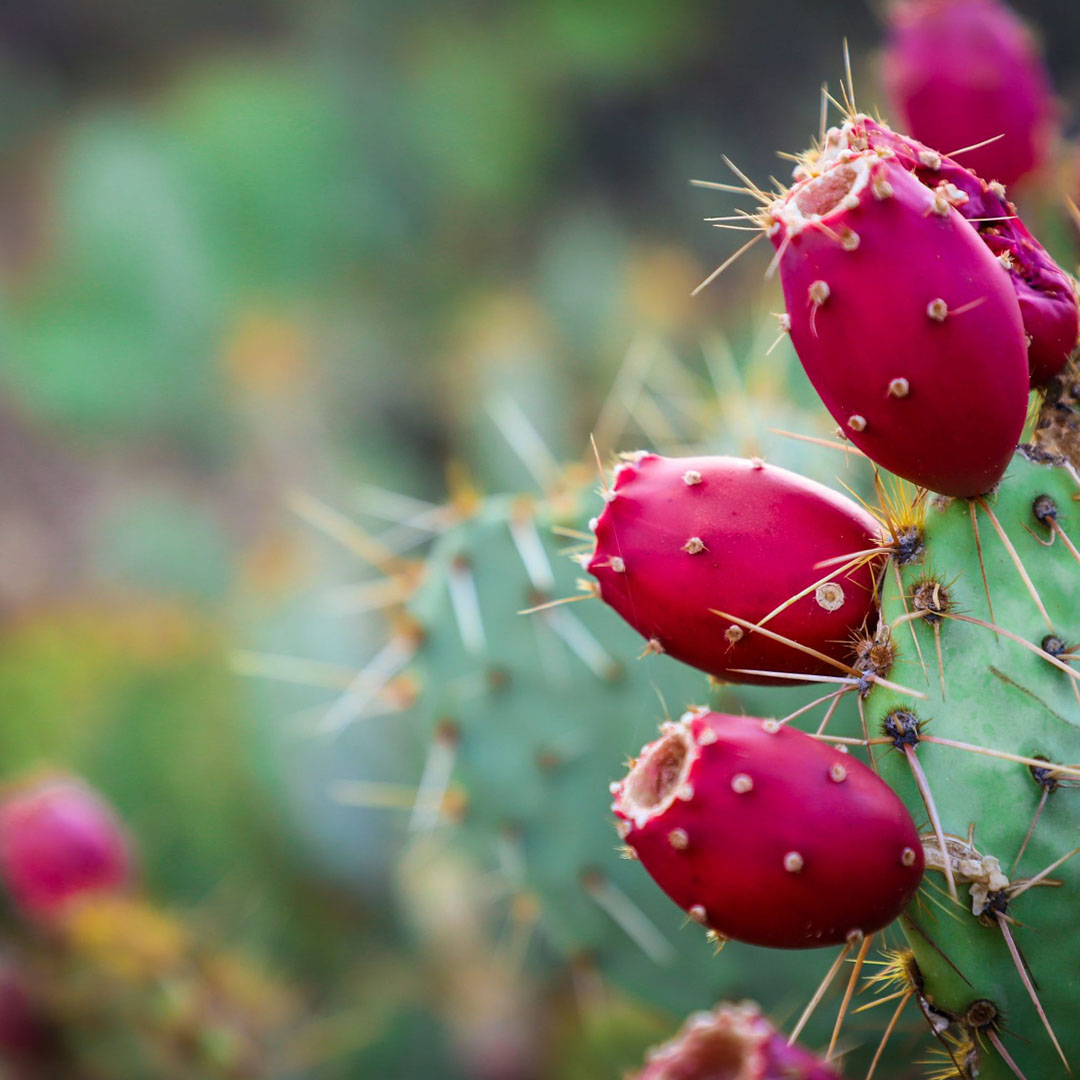 Zmiany skórne w przebiegu starzenia się i sposoby ich łagodzenia