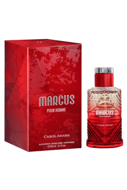 Screenshot 2025 03 05 at 1.01.02 PM