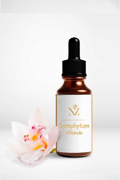 symphytum officinale