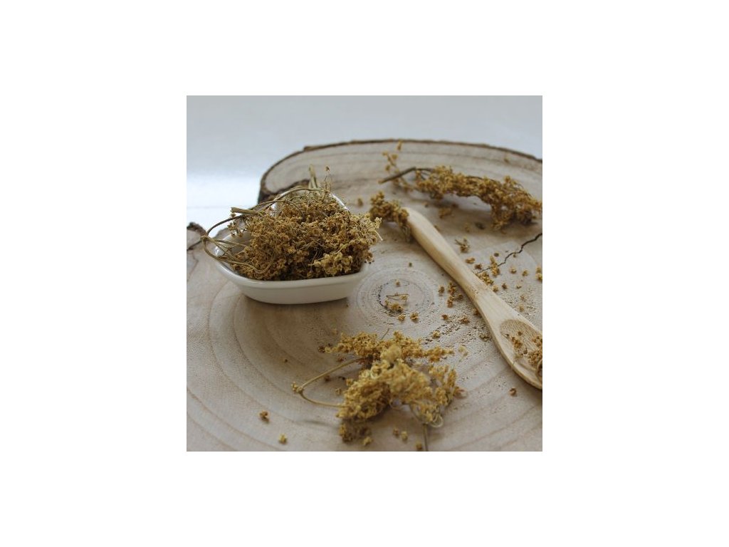 Alchemilka obyčajná -  Alchemilla vulgaris 1000 g