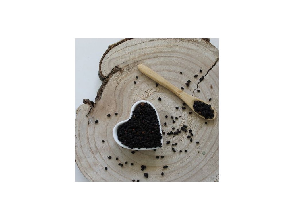 Baza čierna - plod - Sambucus nigra - Fructus sambuci 50 g