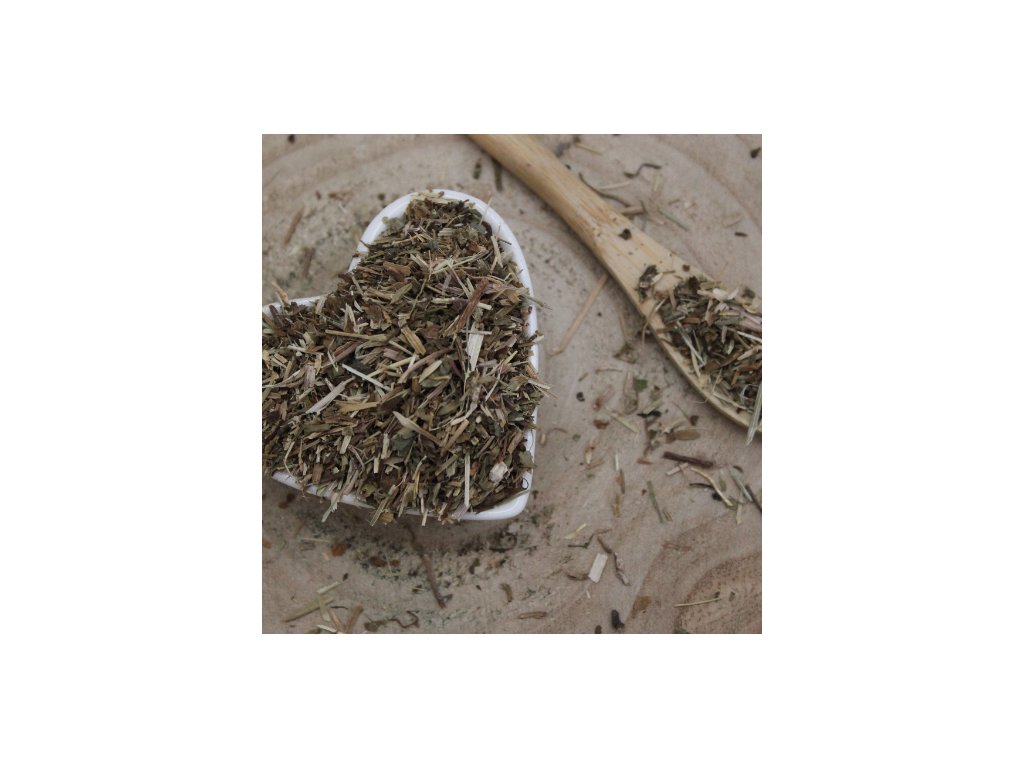Zádušník brečtanovitý - vňať narezaná - Glechoma hederacea - Herba hederae terrestris 50 g