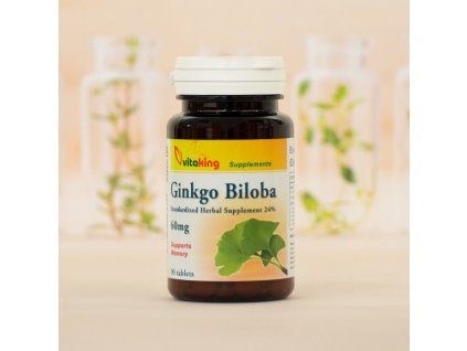 ginkgo biloba 90 tabliet