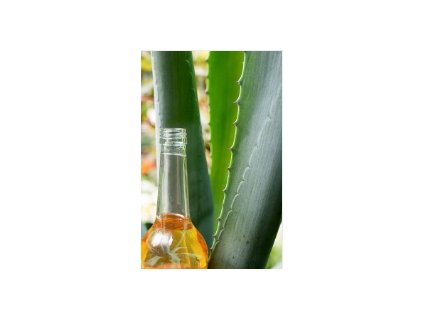 BIO agave sirup|www.naturaprodukty.sk