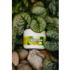 Aloe vera krém so soľou z Mŕtveho mora (200g)