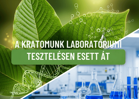 A kratomunk laboratóriumi tesztelésen esett át