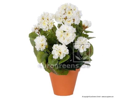 umely bily muskat bila pelargonie 35 cm 40 cm interierova dekorace