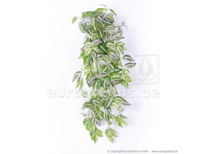 umela kvetina Tradescantia