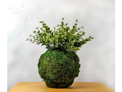 kokedama s drobnymi listky