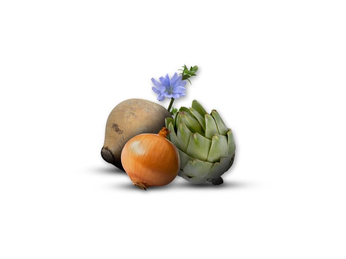 optimize your gut health with prebiotics like inulin 3