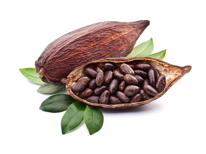 cacao