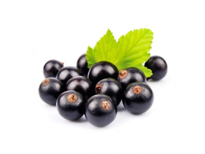 BLACKCURRANT SEED 800x800