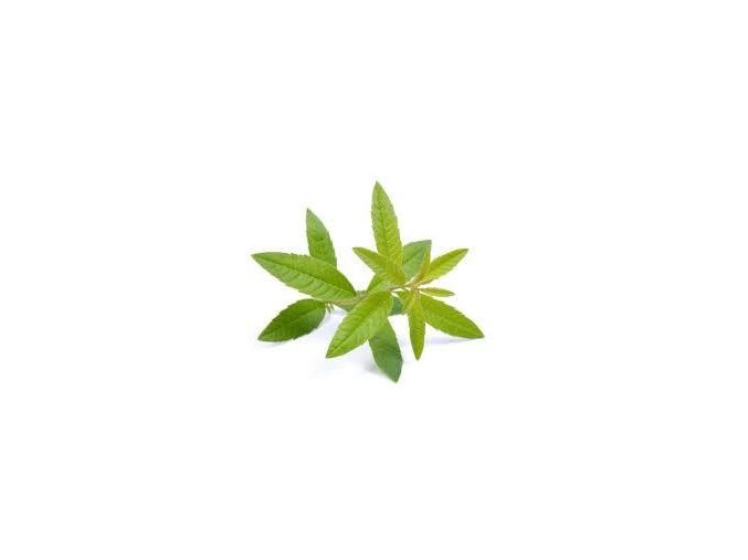 Lemon Verbena 96123.1454415032.1280.1280