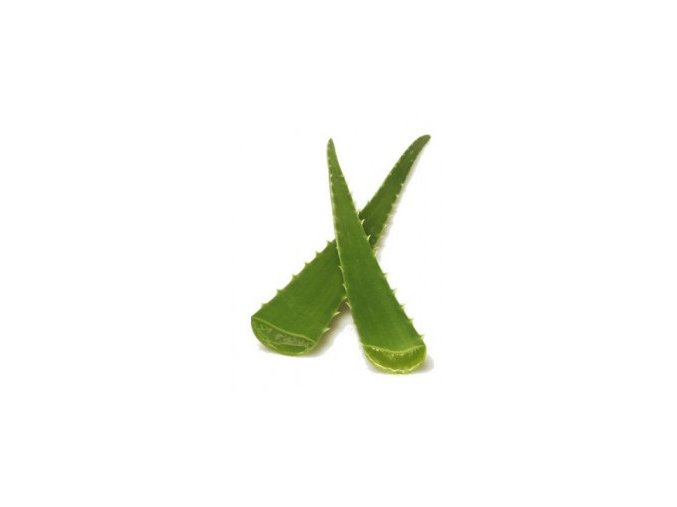 aloe vera extract ว่านหางจระเข้สกัด
