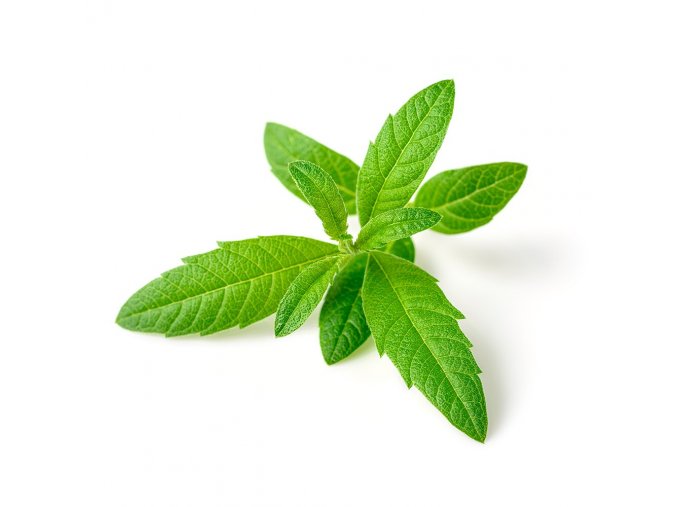AKARZ Famous brand natural aromatherapy lemon verbena essential oil Lippia citriodora skin hair care Relax lemon