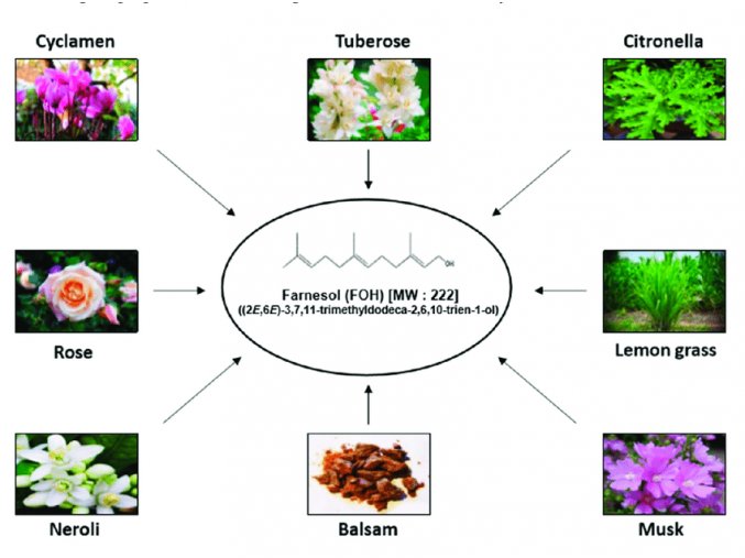 Various natural sources of farnesol