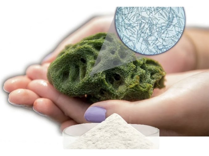 Sponge Spicule hydrolyzed 5g