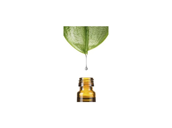 Back2Life Homeopathy Leaf Bottle