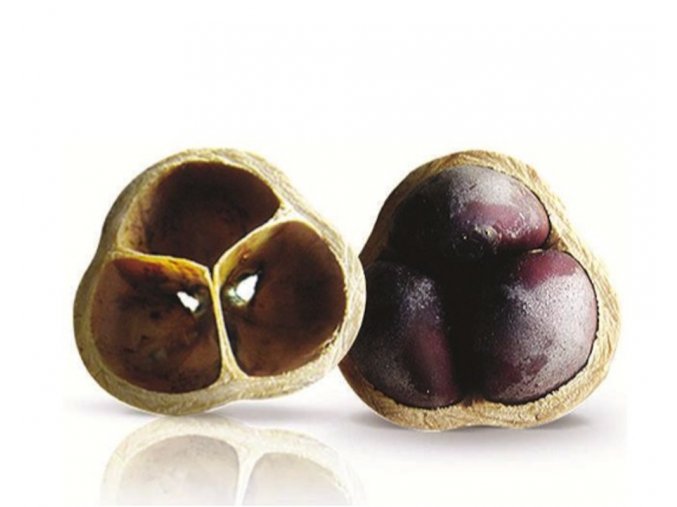 Kahai Nut Oil